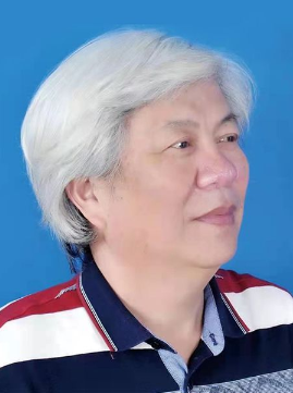 严树森_名家百科